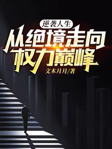 逆袭人生,从绝境走向权力巅峰 逆袭人生,从绝境走向权力巅峰