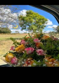 一言不发 一言不发